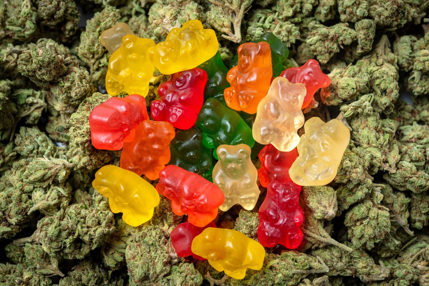 Cannabis Gummy Bears - Premium THC Edibles on Cannabis Buds